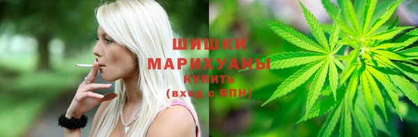 гидропоника Коряжма