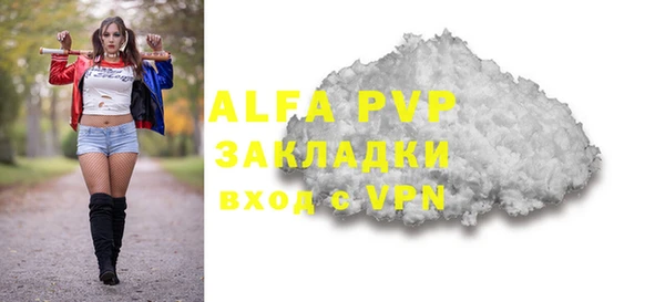 PSILOCYBIN Корсаков