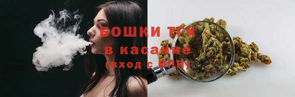первитин Козельск