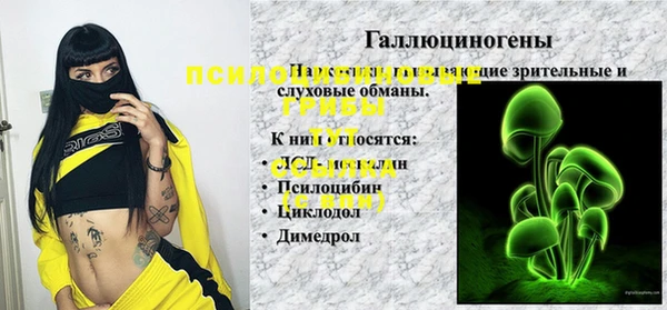 PSILOCYBIN Корсаков