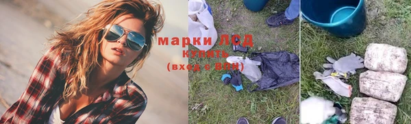 гидропоника Коряжма