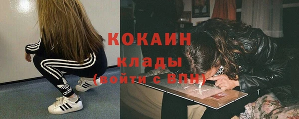 PSILOCYBIN Корсаков