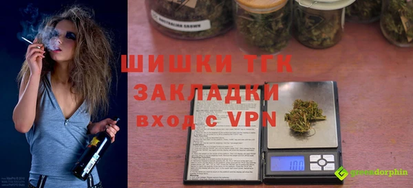 PSILOCYBIN Корсаков