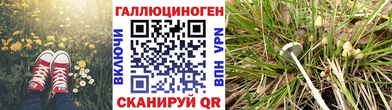 Галлюциногенные грибы MAGIC MUSHROOMS  Кириллов 